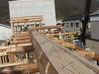 真っ直ぐな棟木と梁材で屋根の重みを支えます。