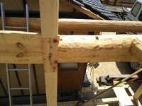 檜５寸角の通し柱に直径３０ｃｍの地松横架材を込み栓とめにしています。
