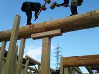 梁の下端に肘木（横架材に掛る荷重を柱に伝える部材）を使用しました。