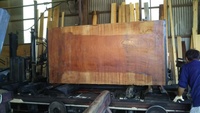 長さ2m50㎝幅1m20㎝厚み7㎝の欅材を製材しています。